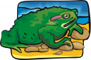 Toad Clipart