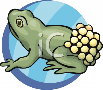 Toad Clipart