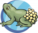 Toad Clipart