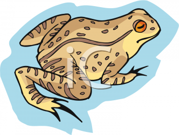 Toad Clipart