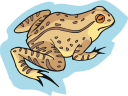 Toad Clipart