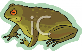 Toad Clipart