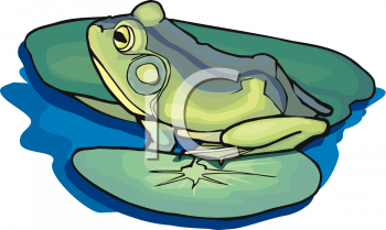 Toad Clipart