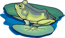 Toad Clipart