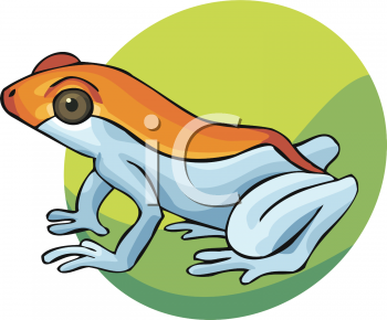 Toad Clipart