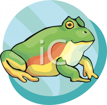 Toad Clipart