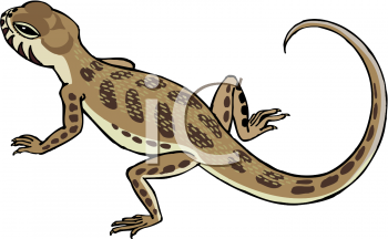 Gecko Clipart