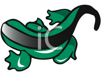 Salamander Clipart