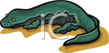 Salamander Clipart