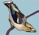 Bird Clipart