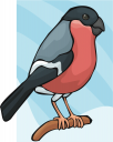 Bird Clipart