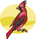 Bird Clipart