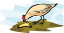 Bird Clipart