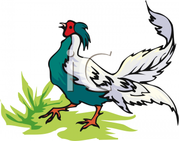 Bird Clipart