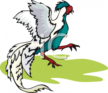 Bird Clipart