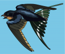 Bird Clipart