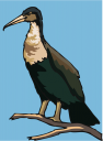 Crane Clipart