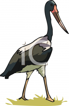 Crane Clipart