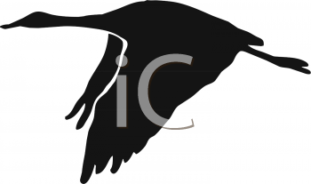 Crane Clipart