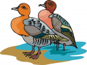 Bird Clipart