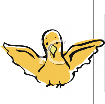 Bird Clipart