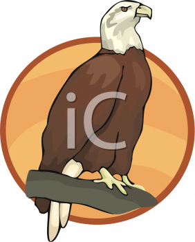 Bird Clipart