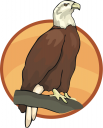 Bird Clipart