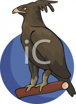 Bird Clipart