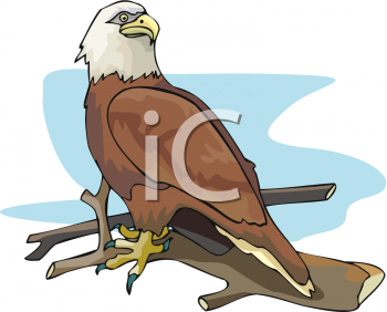 Bird Clipart