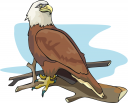 Bird Clipart