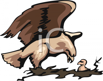 Bird Clipart