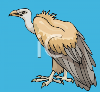 Bird Clipart