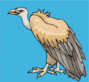 Bird Clipart