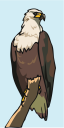 Bird Clipart