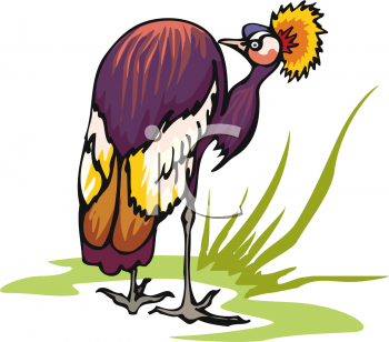 Bird Clipart