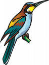 Bird Clipart