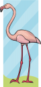 Bird Clipart