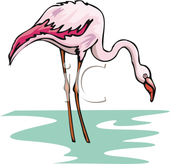 Bird Clipart