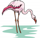 Bird Clipart