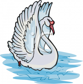 Bird Clipart