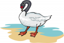 Bird Clipart