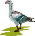 Bird Clipart