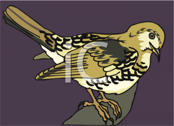 Bird Clipart