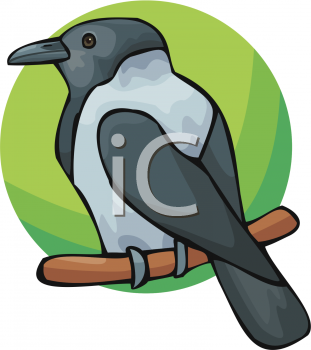 Bird Clipart