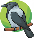 Bird Clipart