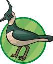 Bird Clipart