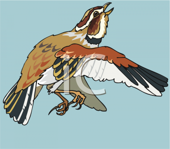 Bird Clipart