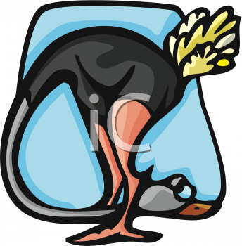 Ostrich Clipart