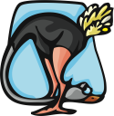 Ostrich Clipart