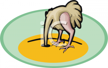 Ostrich Clipart